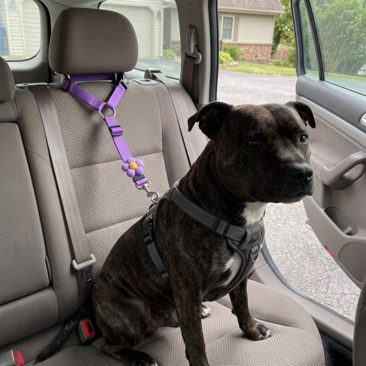Woofidoo Dog Car Safety Leash