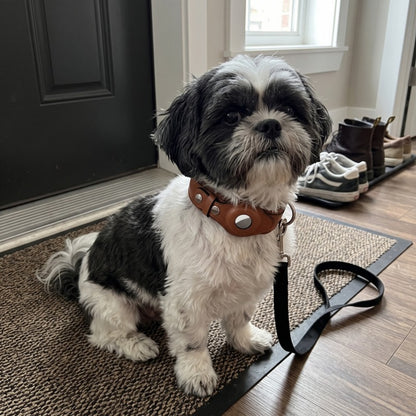 Woofidoo AirTag Dog Collar