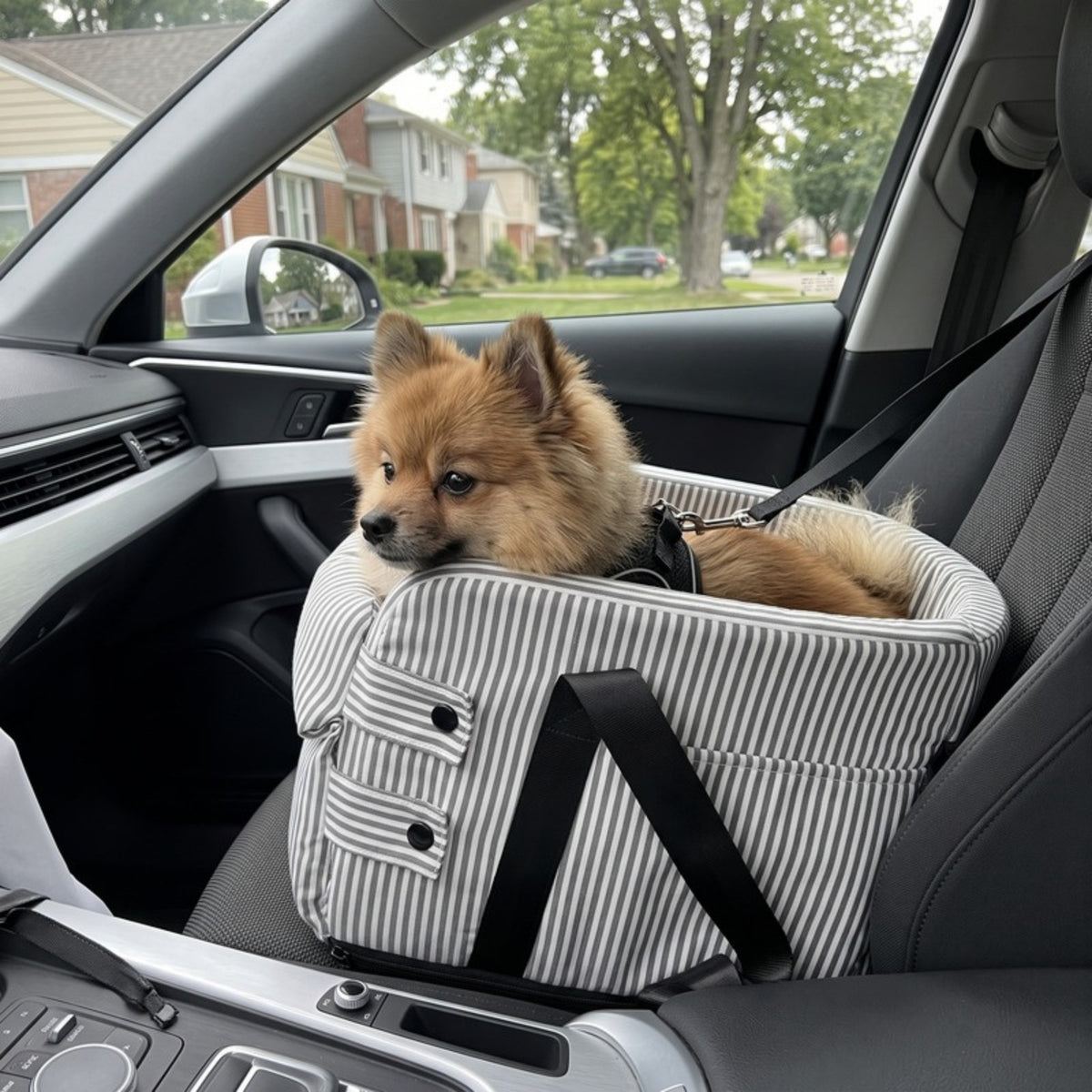 Woofidoo Striped Console Pet Car Seat