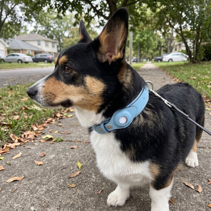 Woofidoo AirTag Dog Collar