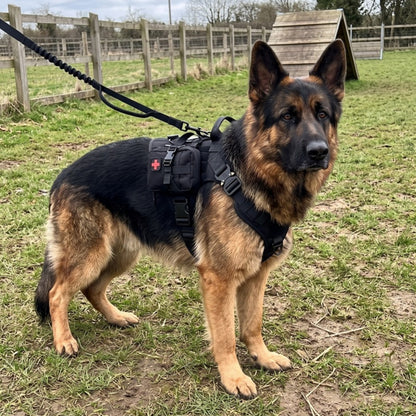 Woofidoo Ranger Tactical Dog Vest