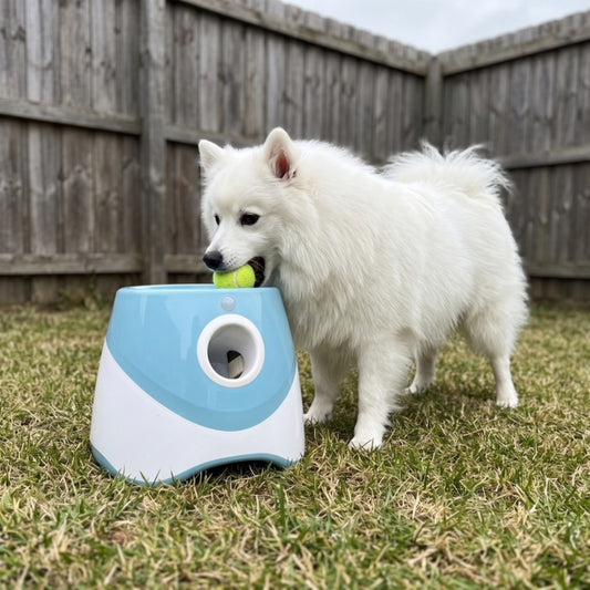 Woofidoo Automatic Dog Ball Launcher