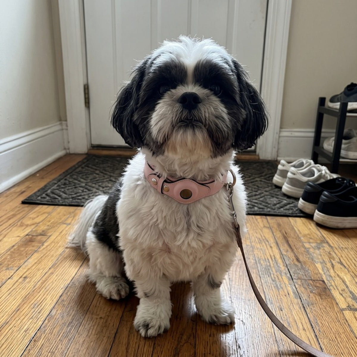 Woofidoo AirTag Dog Collar