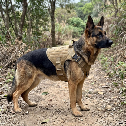 Woofidoo Ranger Tactical Dog Vest