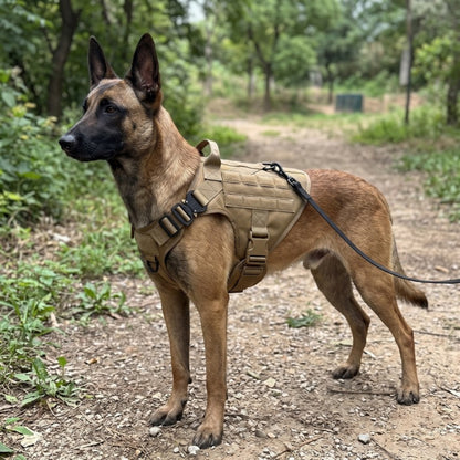 Woofidoo Ranger Tactical Dog Vest