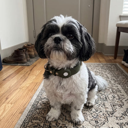 Woofidoo AirTag Dog Collar