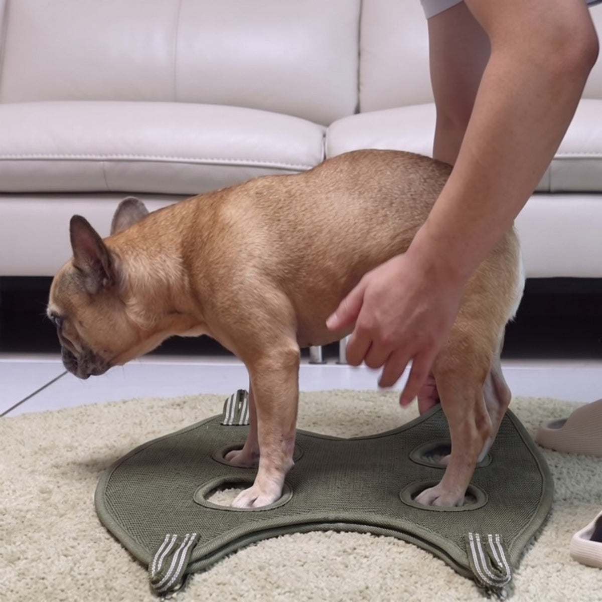 Woofidoo Pet Grooming Hammock