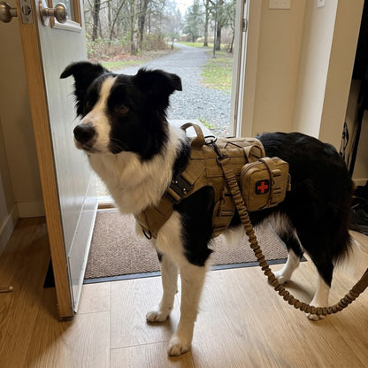 Woofidoo Ranger Tactical Dog Vest