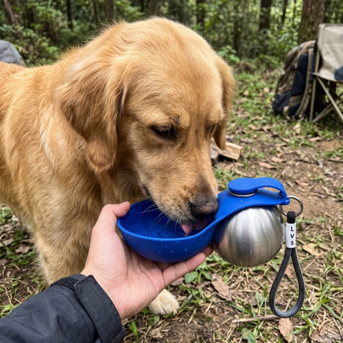 Woofidoo Stainless Steel Dog Water Bottle