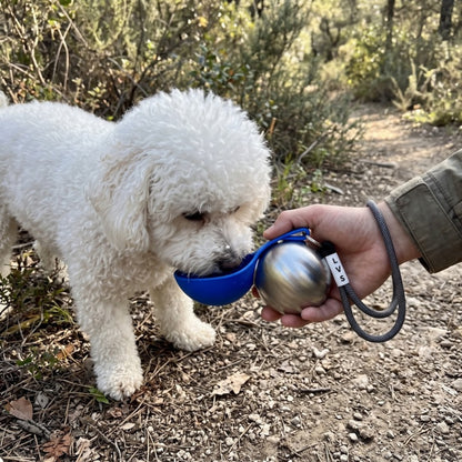 Woofidoo Stainless Steel Dog Water Bottle