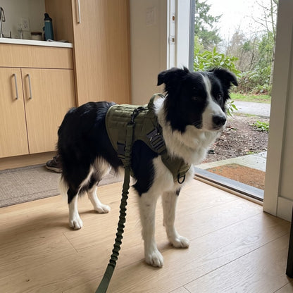 Woofidoo Ranger Tactical Dog Vest