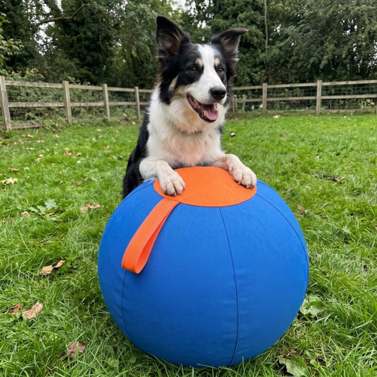 Woofidoo Giant Herding Ball for Dogs