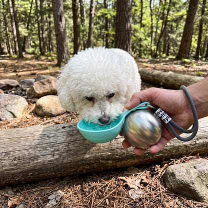 Woofidoo Stainless Steel Dog Water Bottle