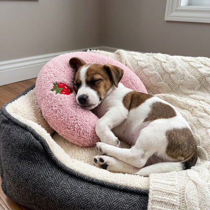 Woofidoo Dog & Cat Pillow