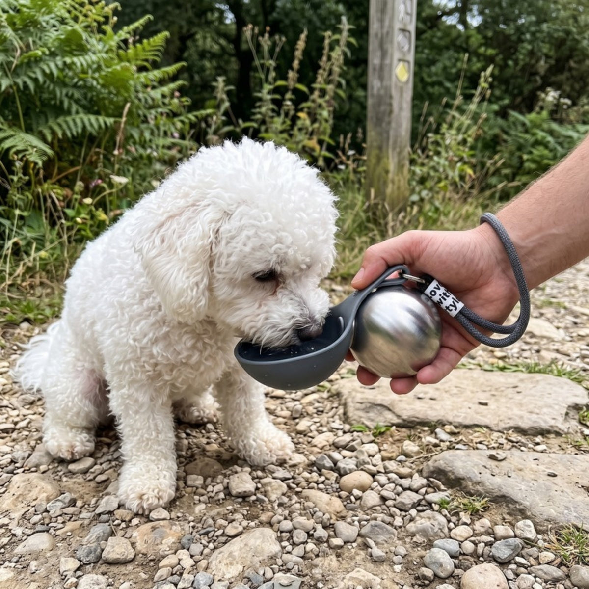 Woofidoo Stainless Steel Dog Water Bottle