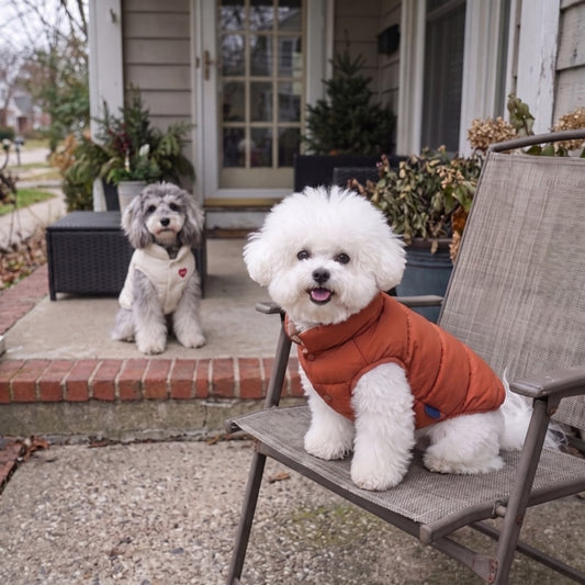 Woofidoo Flipside Reversible Dog Vest