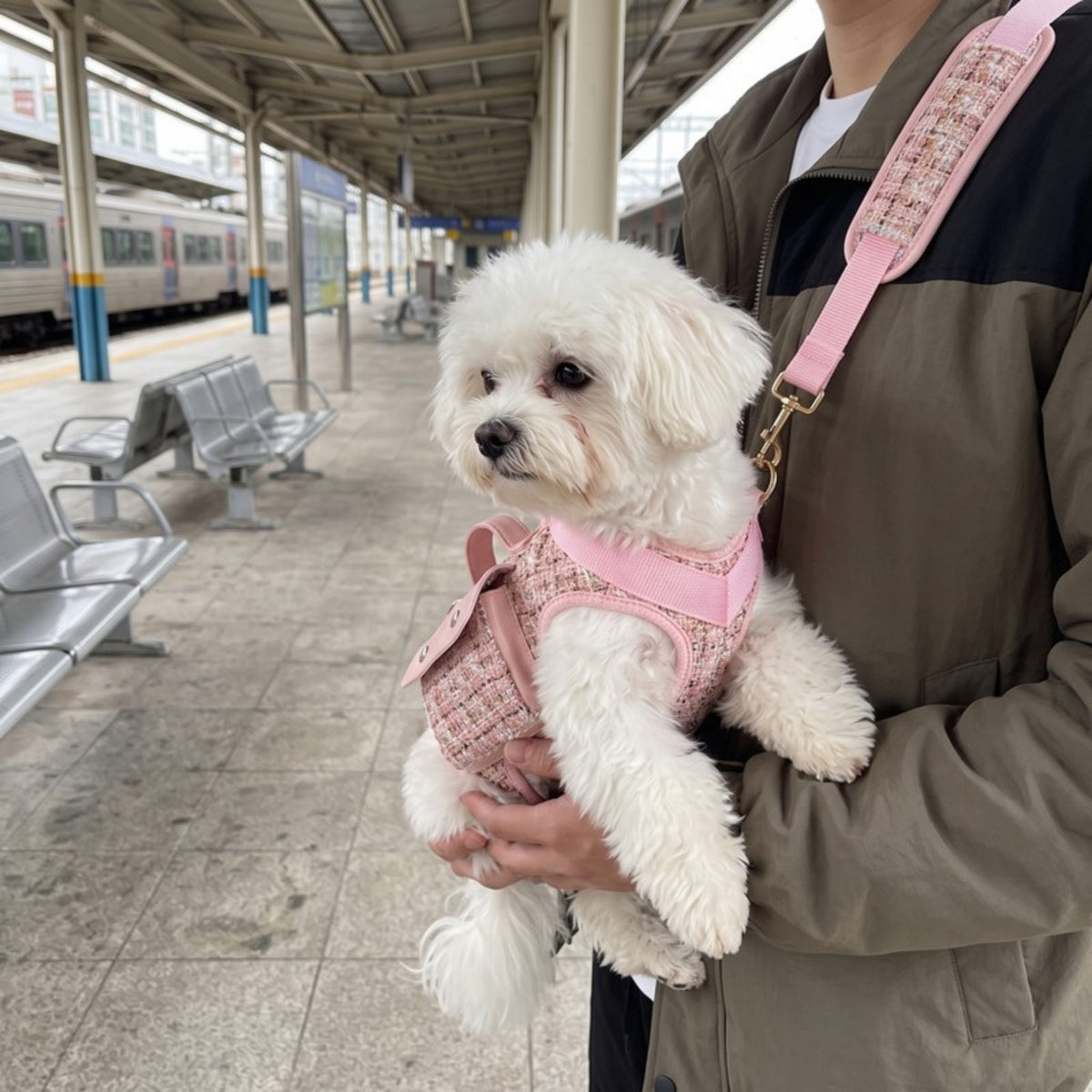 Woofidoo Small Dog Shoulder Carrier Bag
