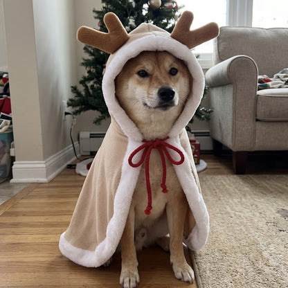 Woofidoo Christmas Pet Cape