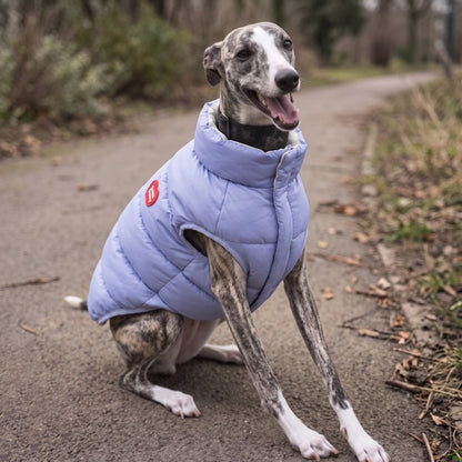 Woofidoo Flipside Reversible Dog Vest