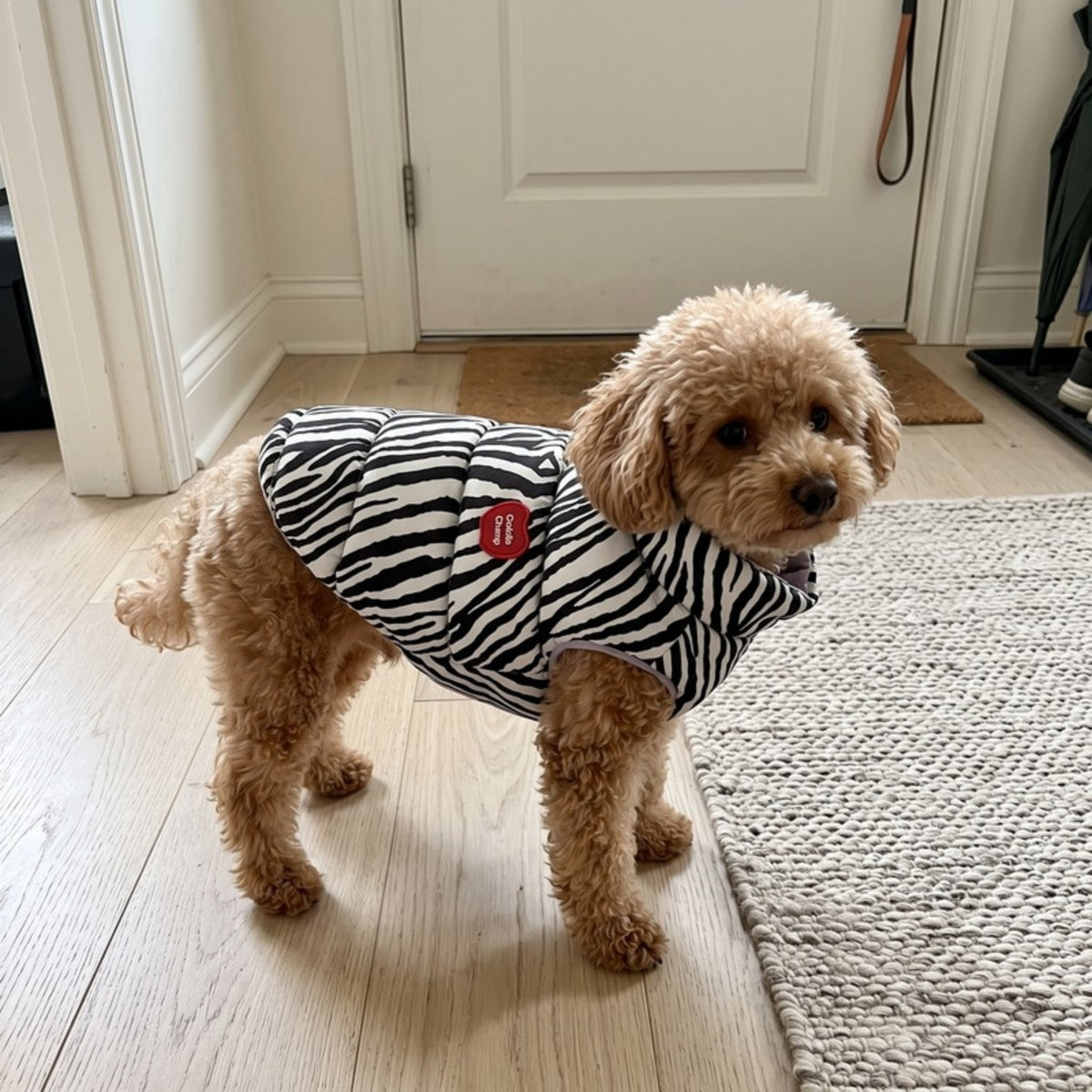 Woofidoo Flipside Reversible Dog Vest
