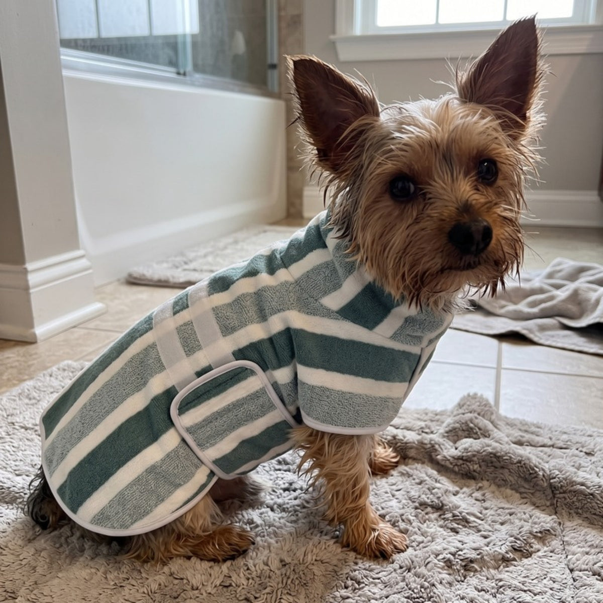 Woofidoo Quick-Dry Dog Bathrobe