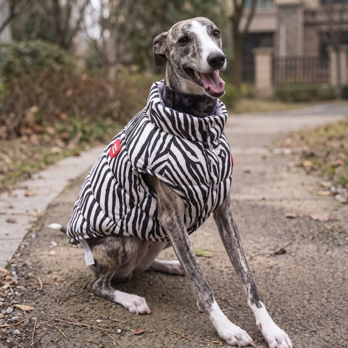 Woofidoo Flipside Reversible Dog Vest