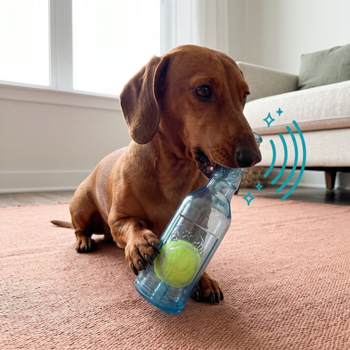 Woofidoo Squeaky Tennis Ball Bottle Dog Toy