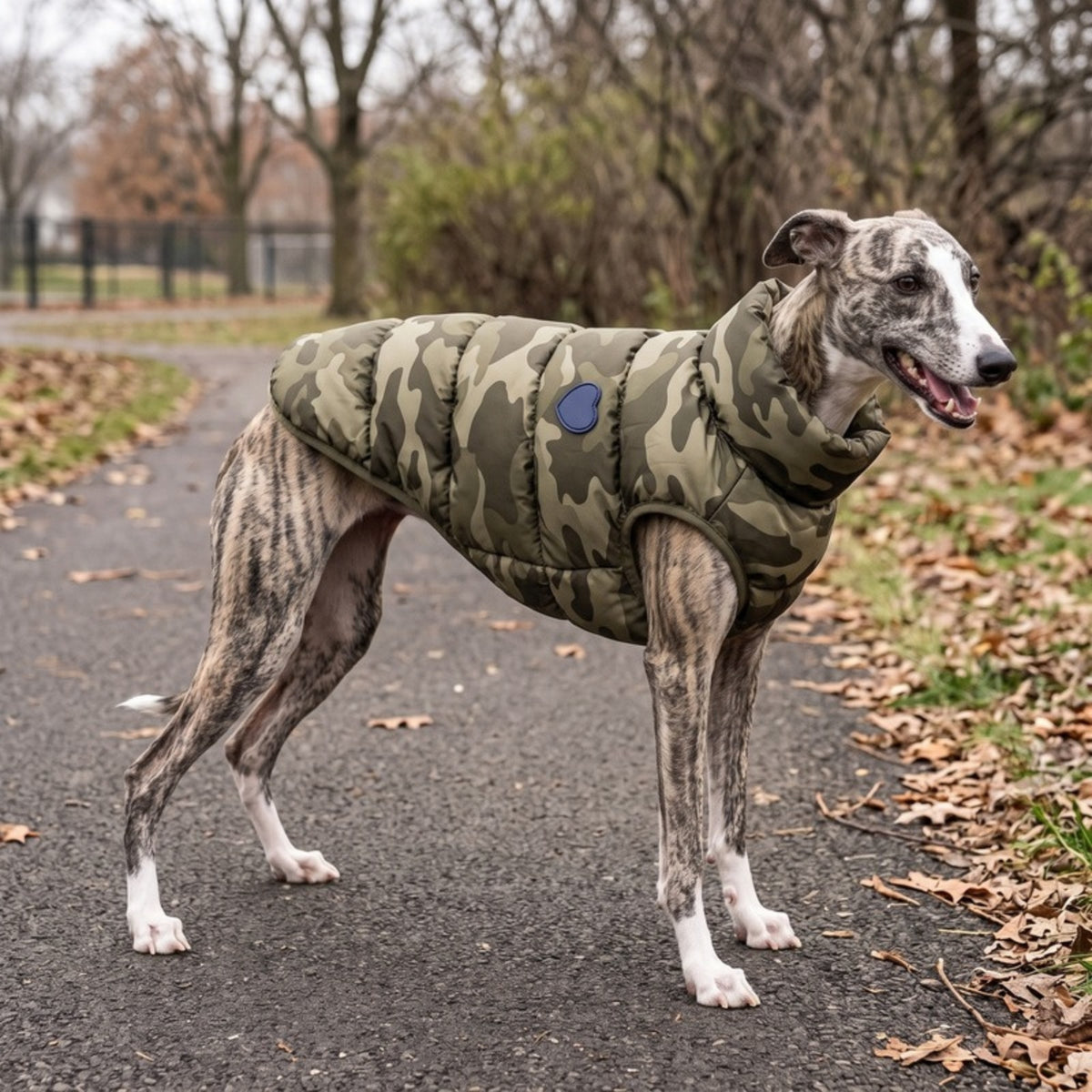 Woofidoo Flipside Reversible Dog Vest