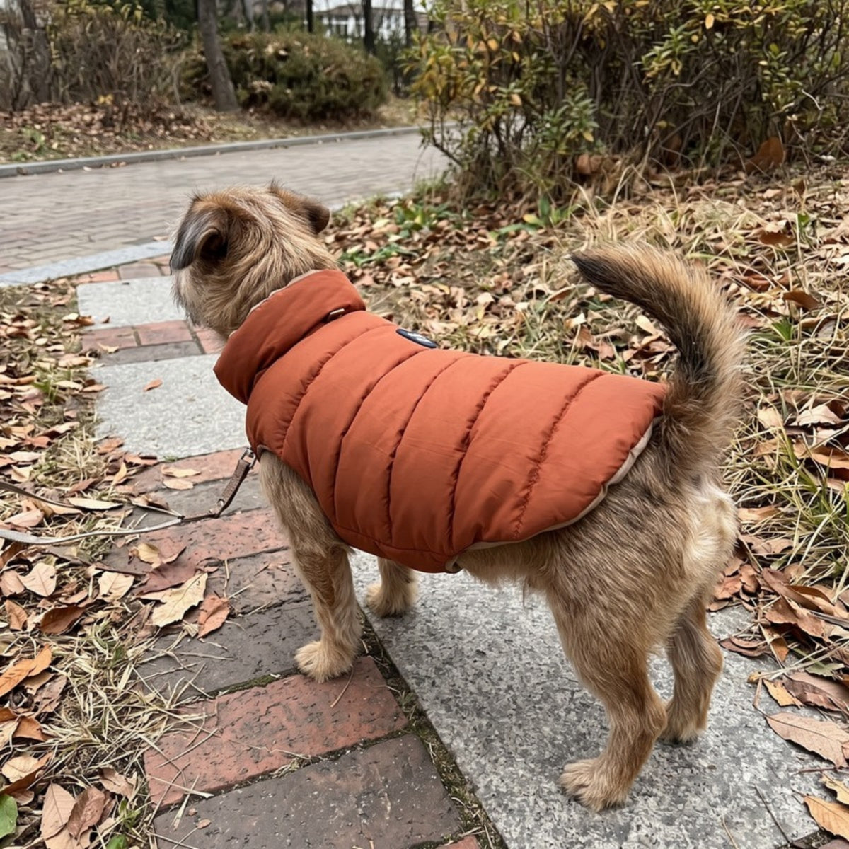 Woofidoo Flipside Reversible Dog Vest