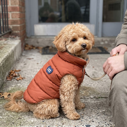 Woofidoo Flipside Reversible Dog Vest
