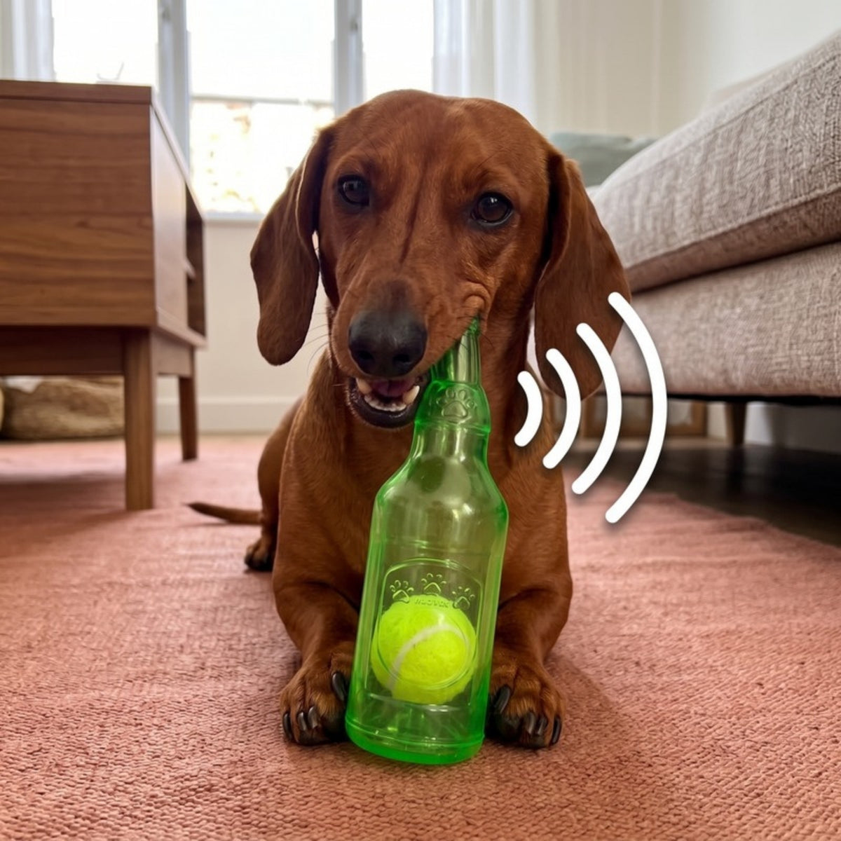 Woofidoo Squeaky Tennis Ball Bottle Dog Toy