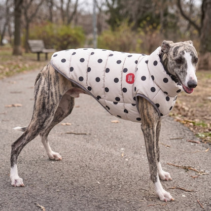 Woofidoo Flipside Reversible Dog Vest
