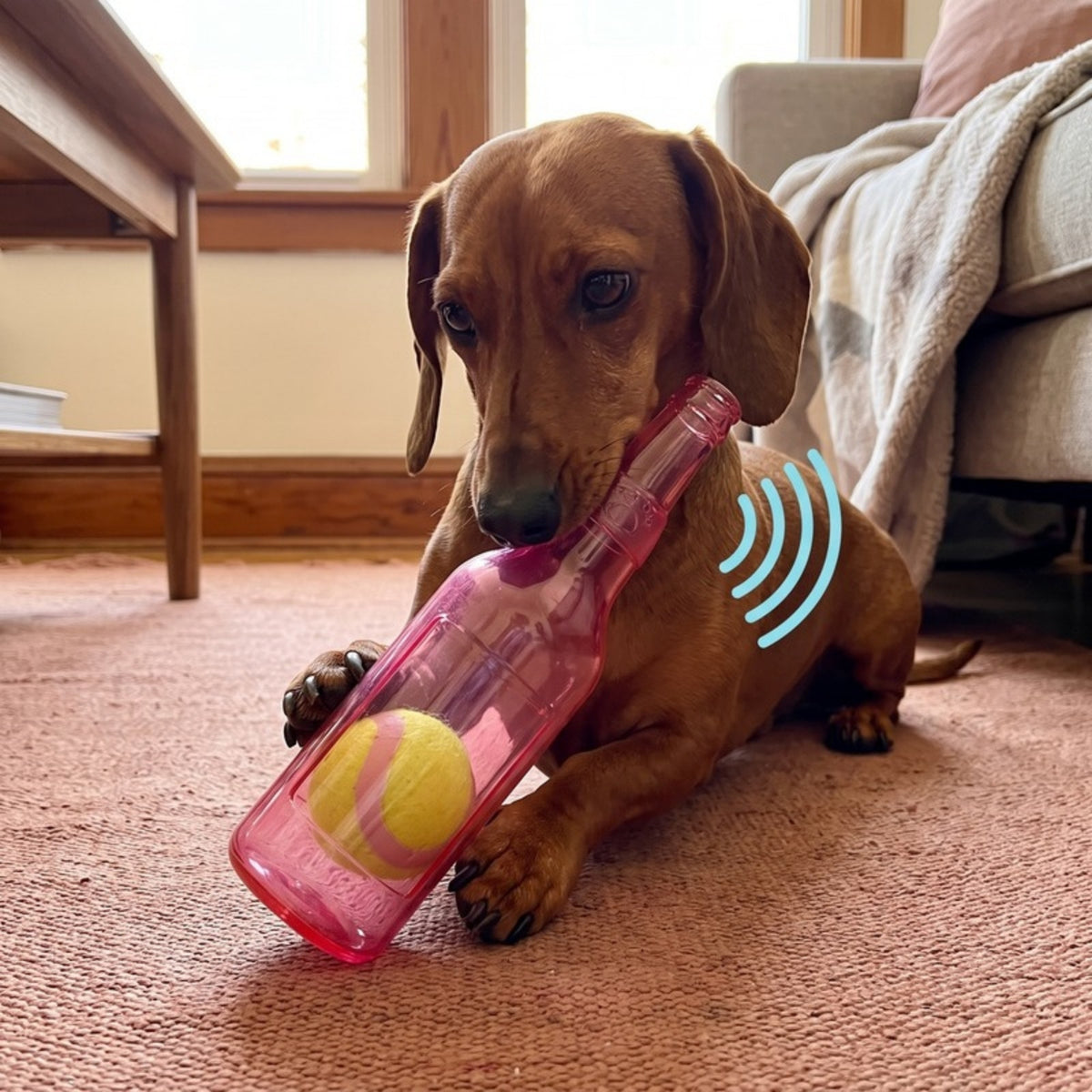 Woofidoo Squeaky Tennis Ball Bottle Dog Toy