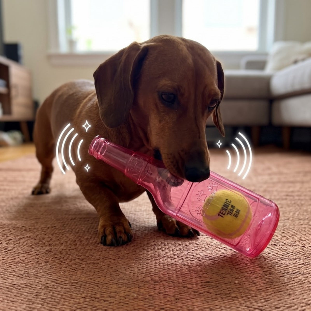 Woofidoo Squeaky Tennis Ball Bottle Dog Toy