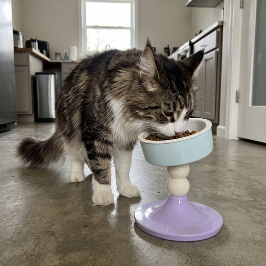 Woofidoo Tilted Ceramic Cat Bowl