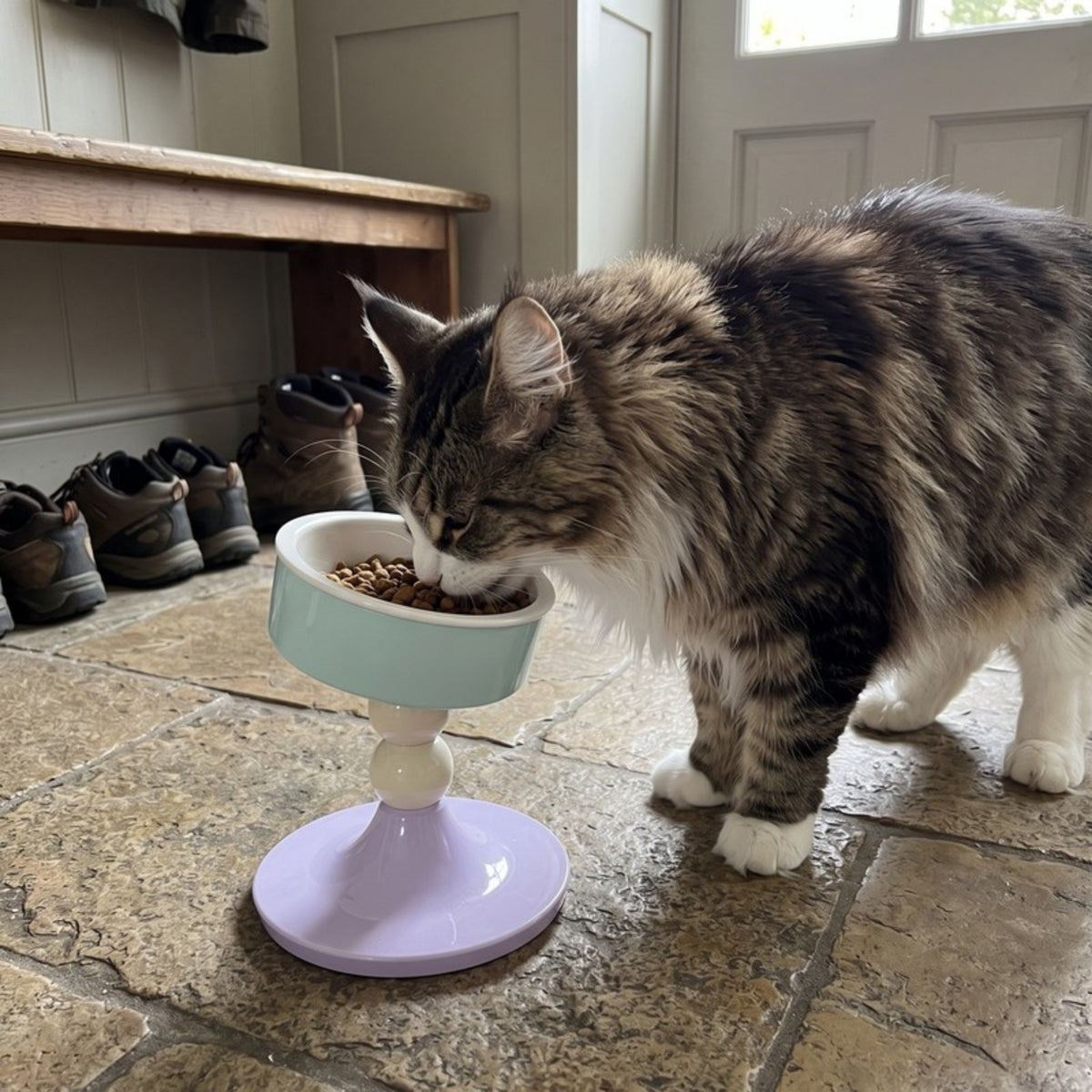 Woofidoo Tilted Ceramic Cat Bowl