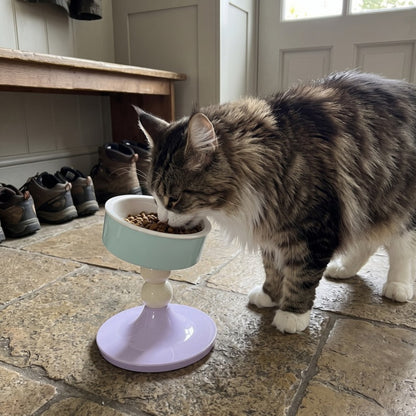 Woofidoo Tilted Ceramic Cat Bowl