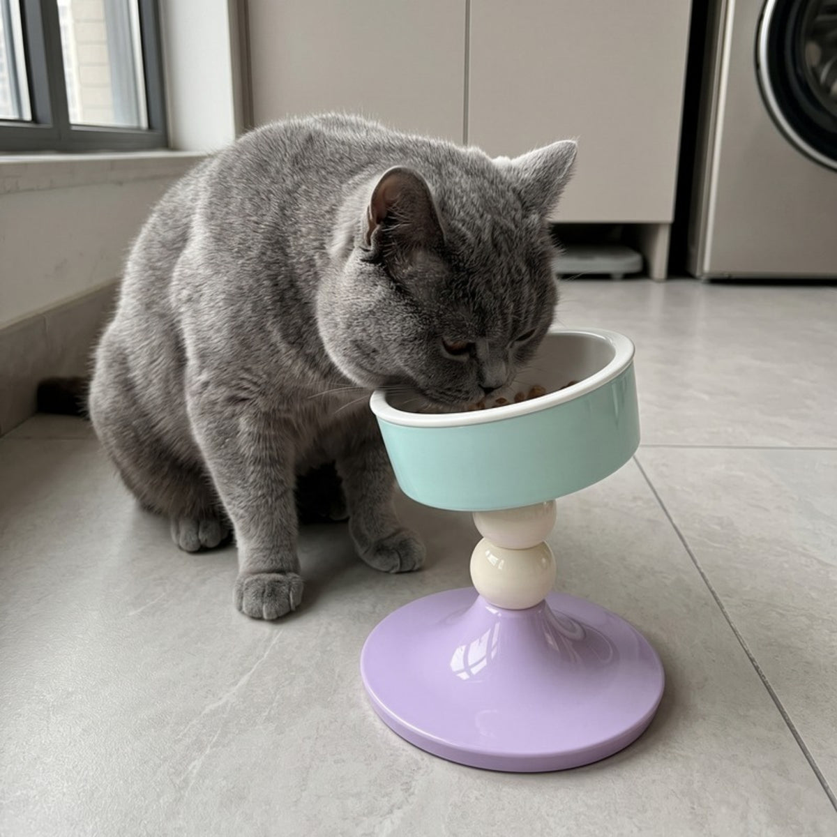 Woofidoo Tilted Ceramic Cat Bowl
