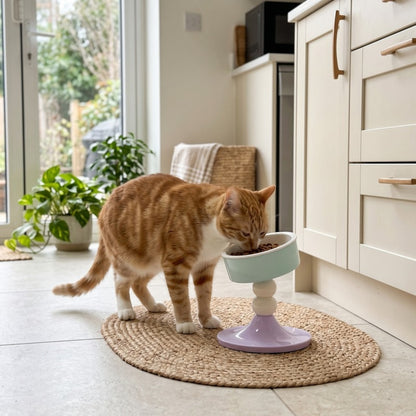 Woofidoo Tilted Ceramic Cat Bowl