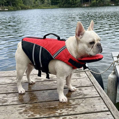 Woofidoo Dog Life Jacket