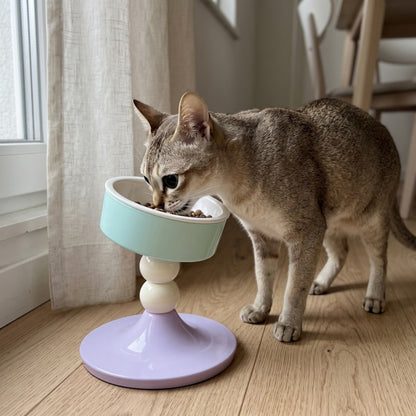 Woofidoo Tilted Ceramic Cat Bowl