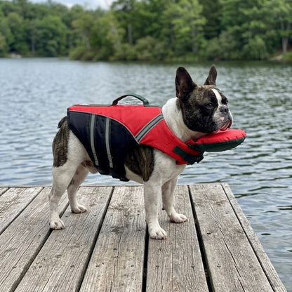 Woofidoo Dog Life Jacket
