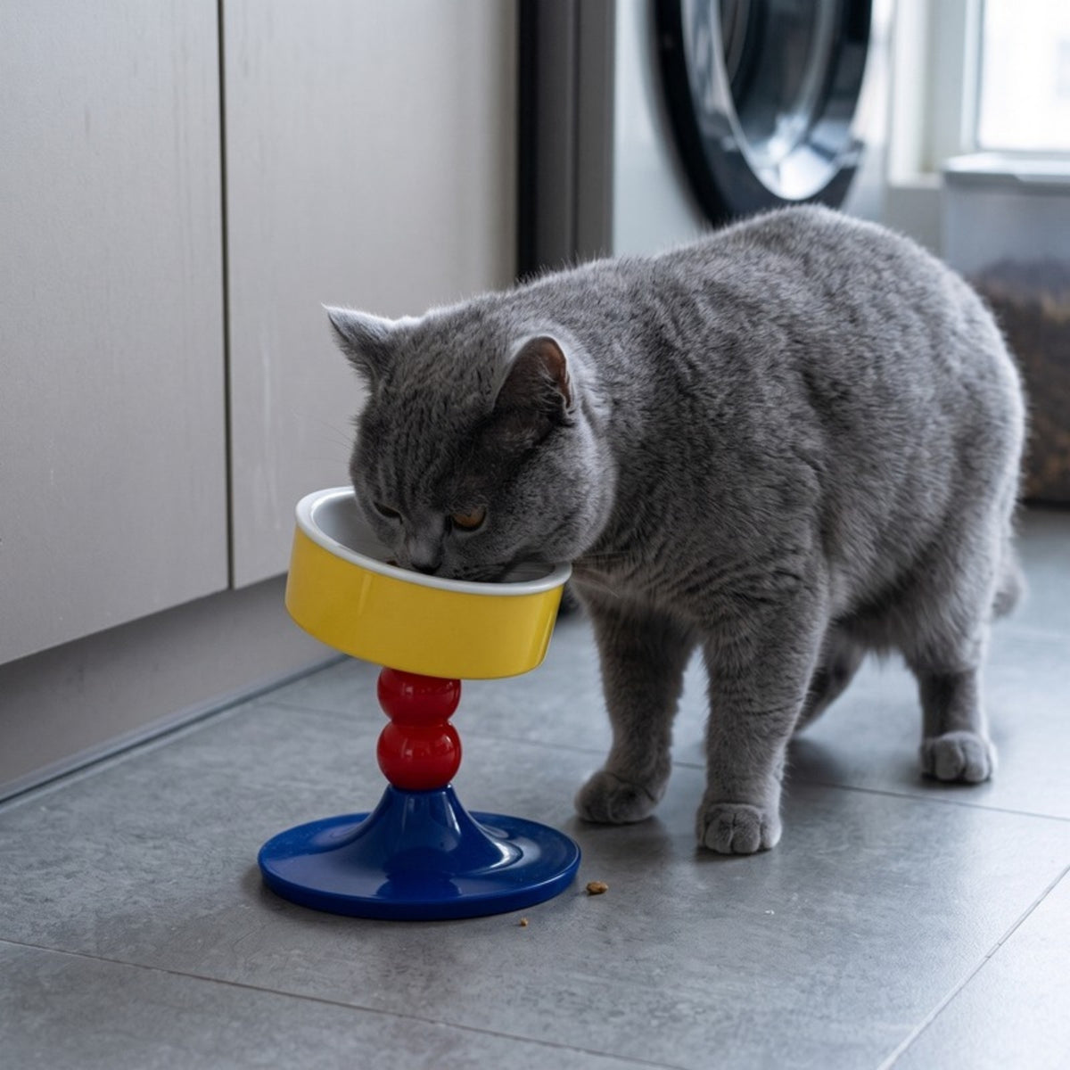Woofidoo Tilted Ceramic Cat Bowl