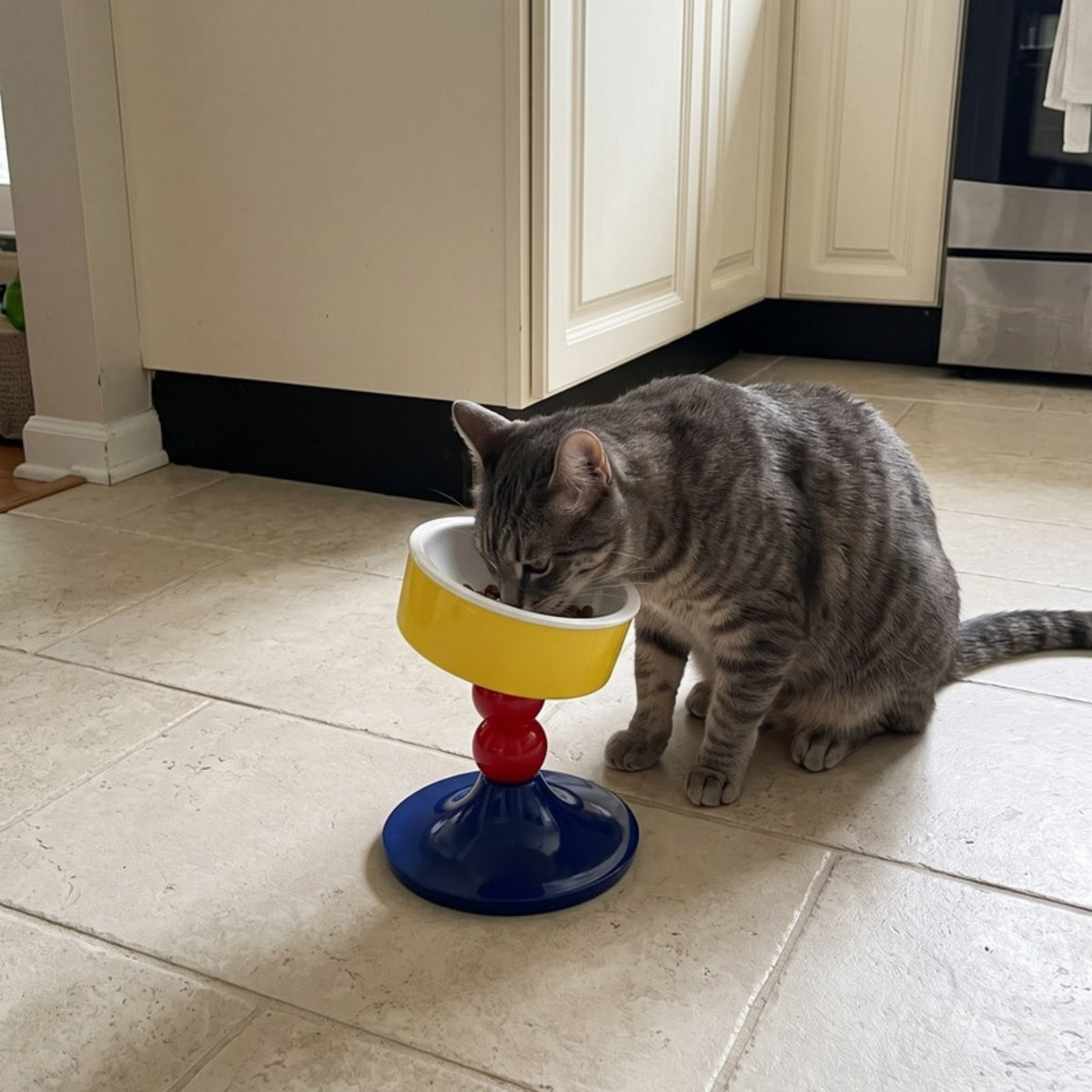 Woofidoo Tilted Ceramic Cat Bowl