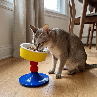 Woofidoo Tilted Ceramic Cat Bowl