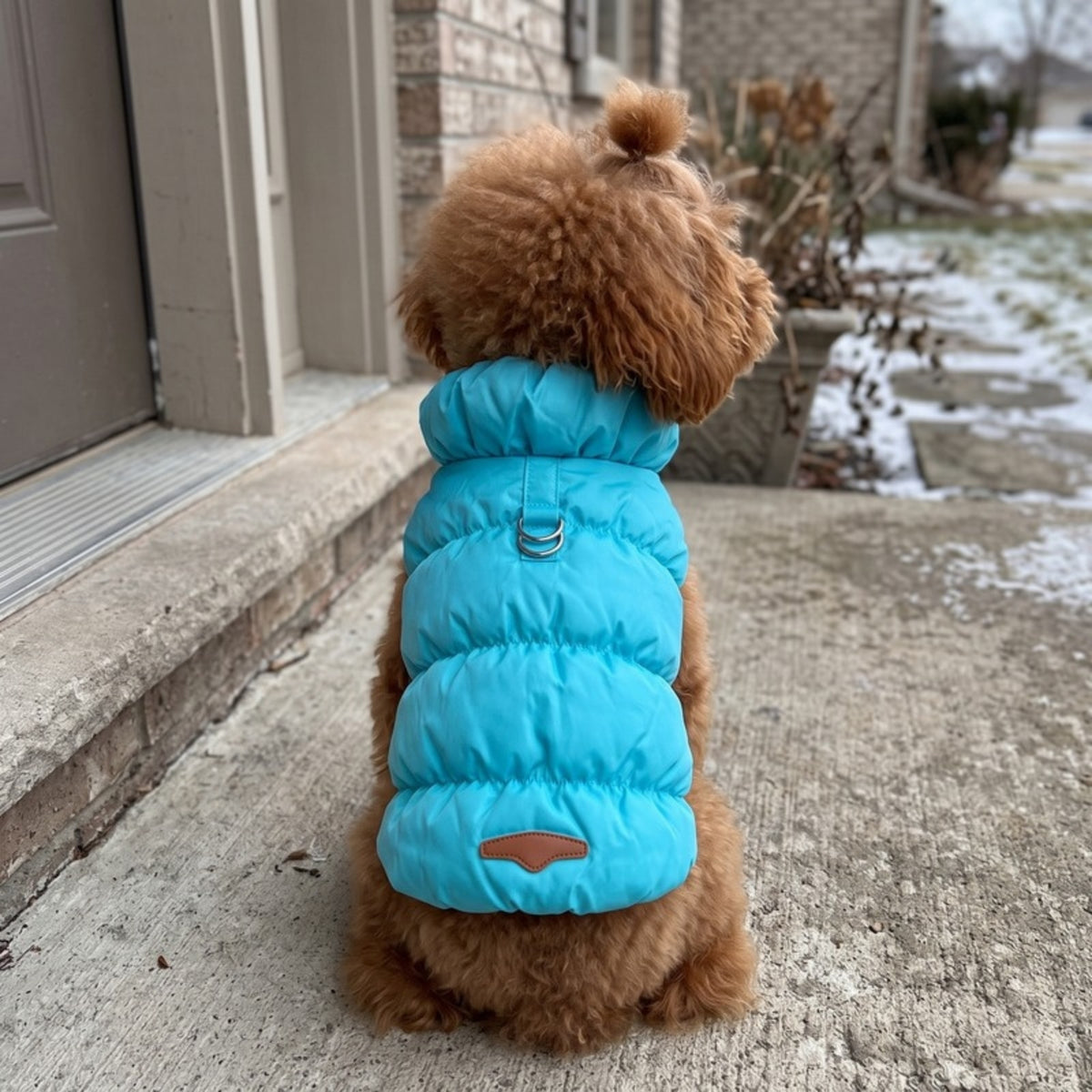 Woofidoo Frost Dog Winter Vest
