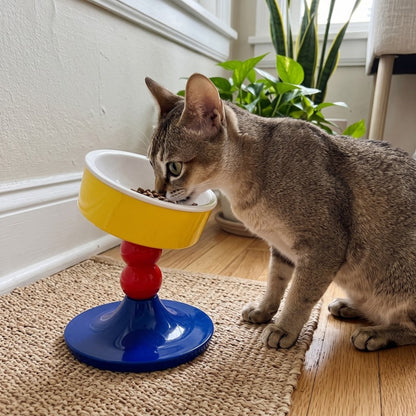 Woofidoo Tilted Ceramic Cat Bowl