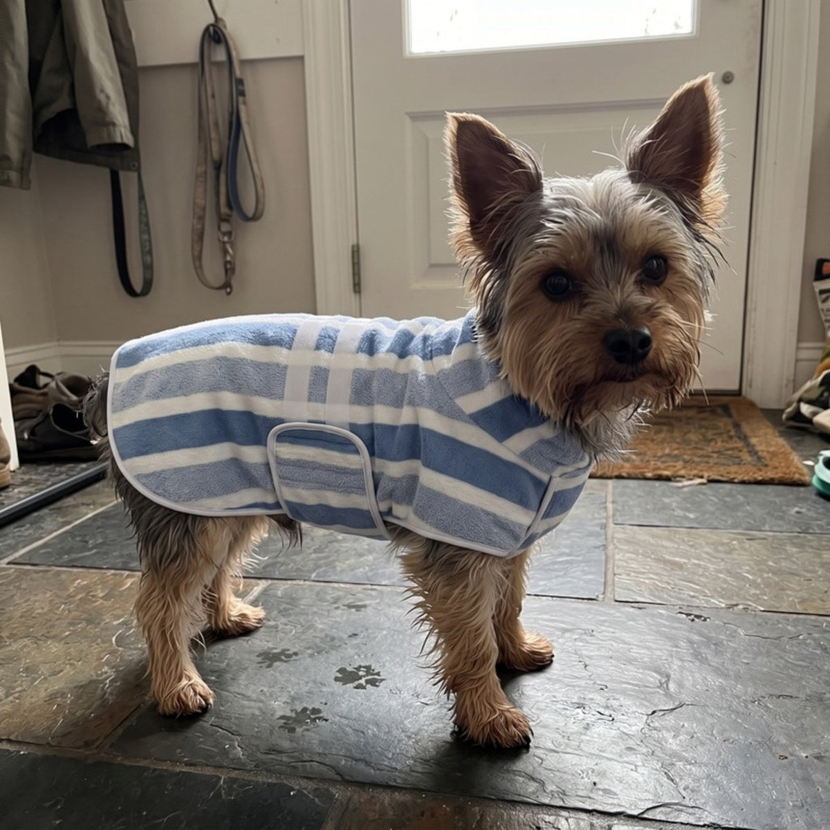 Woofidoo Quick-Dry Dog Bathrobe