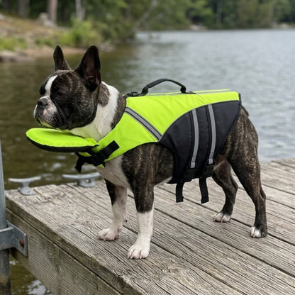Woofidoo Dog Life Jacket