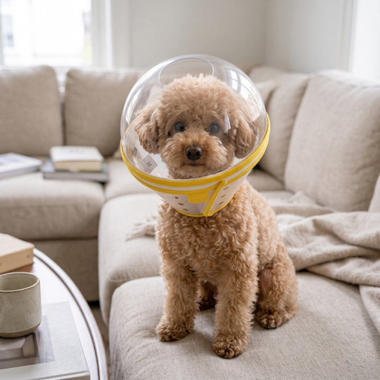 Woofidoo Clear Dome Dog Cone